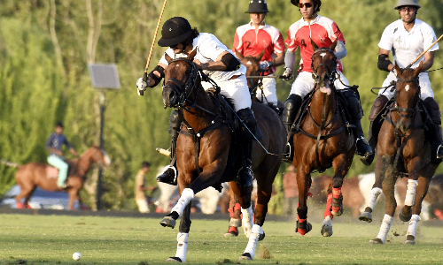 Twin City Challenge Polo Cup: BN Polo reach in final