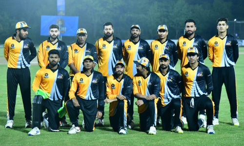 Markhor Ramadan Cup: Punjab Lions post 110 runs target for Islamabad