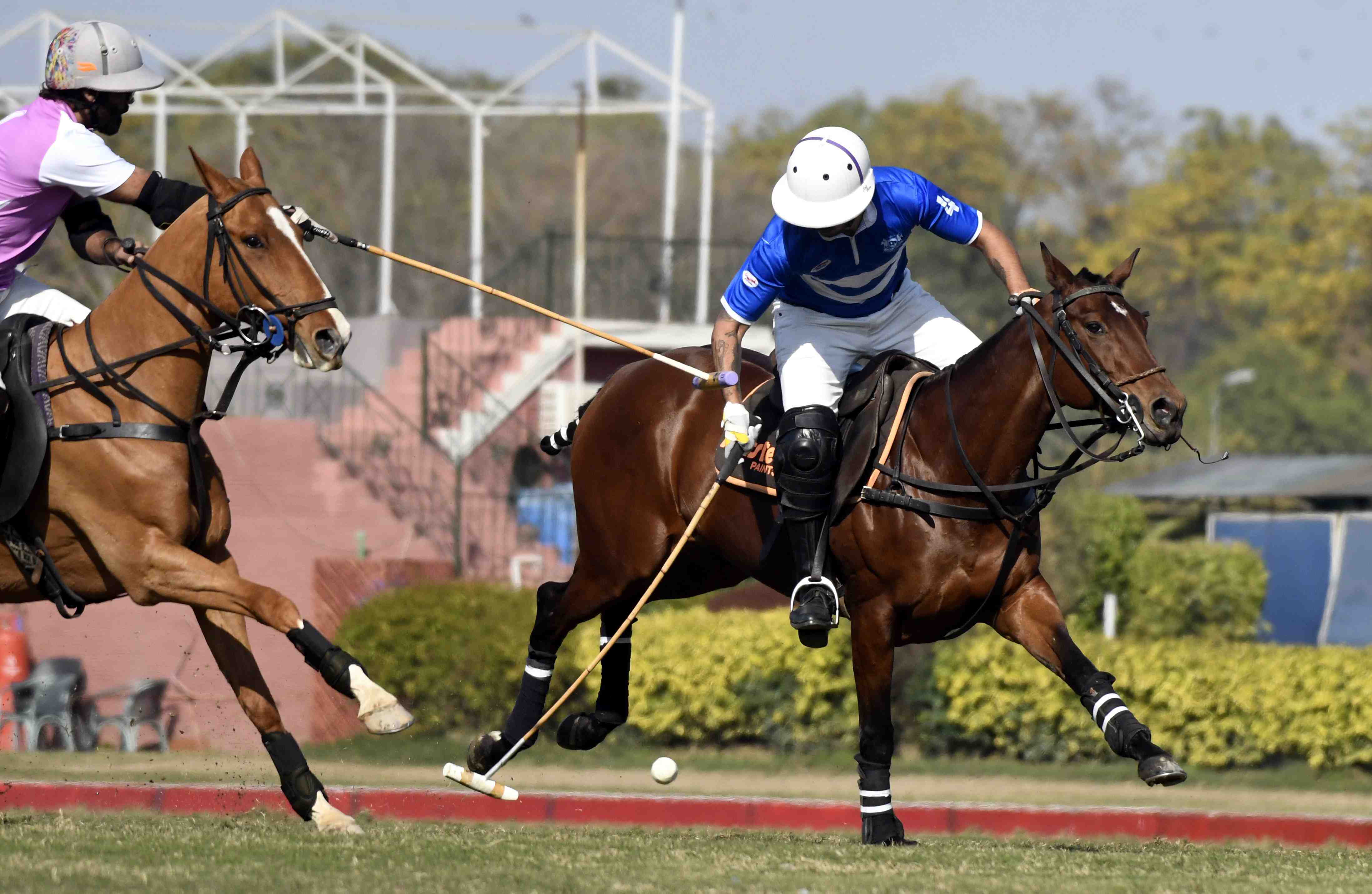 Punjab Polo Cup 2024: Diamond/Master Paints qualify for main final