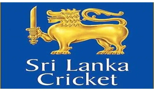 SLC hires two separate analysts for white and red ball matches