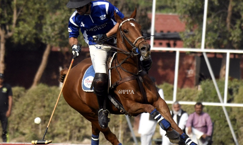 Diamond Paints fourth team to qualify for National Open Polo semifinals