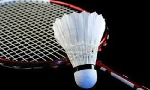 Murad and Mohammad Ali in National Badminton championship final
