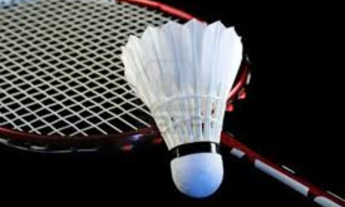 National Badminton Championship: WAPDA and NBP qualify for final