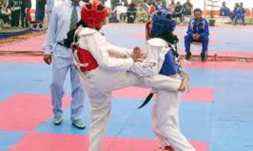 Online Taekwondo: Sindhi players show impressive performance