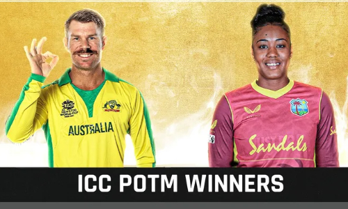 Warner and Matthews named ICC Players of the Month