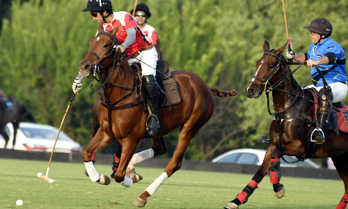 Asean win Twin City Challenge Polo Cup subsidiary final