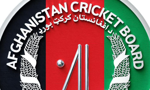 Afghanistan Cricket Board expands selection committee