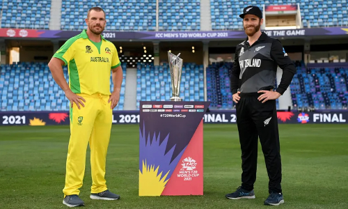 Finch and Williamson set out stall ahead of final