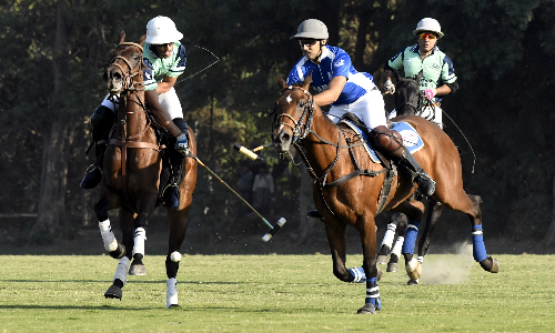 Aibak Polo Cup: MP Black, Remounts, Diamond Paints victorious