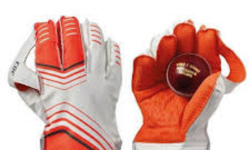 Wicketkeepers Specialised Camp to start from Monday