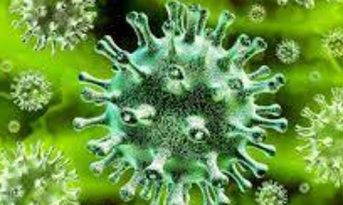 Update on second Covid-19 tests of First XI teams