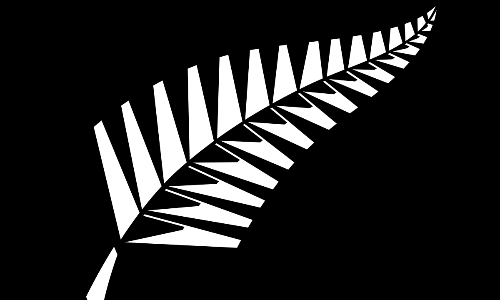 Blundell, Tickner and Bracewell excited for first Pakistan tour